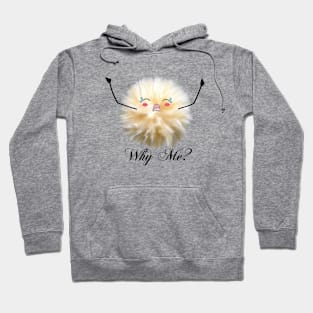 "Why Me?" Fluff ball Hoodie